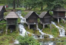 The Harbour of Eleutherius Structure and Measurements