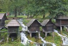 The Harbour of Eleutherius and Theodosius